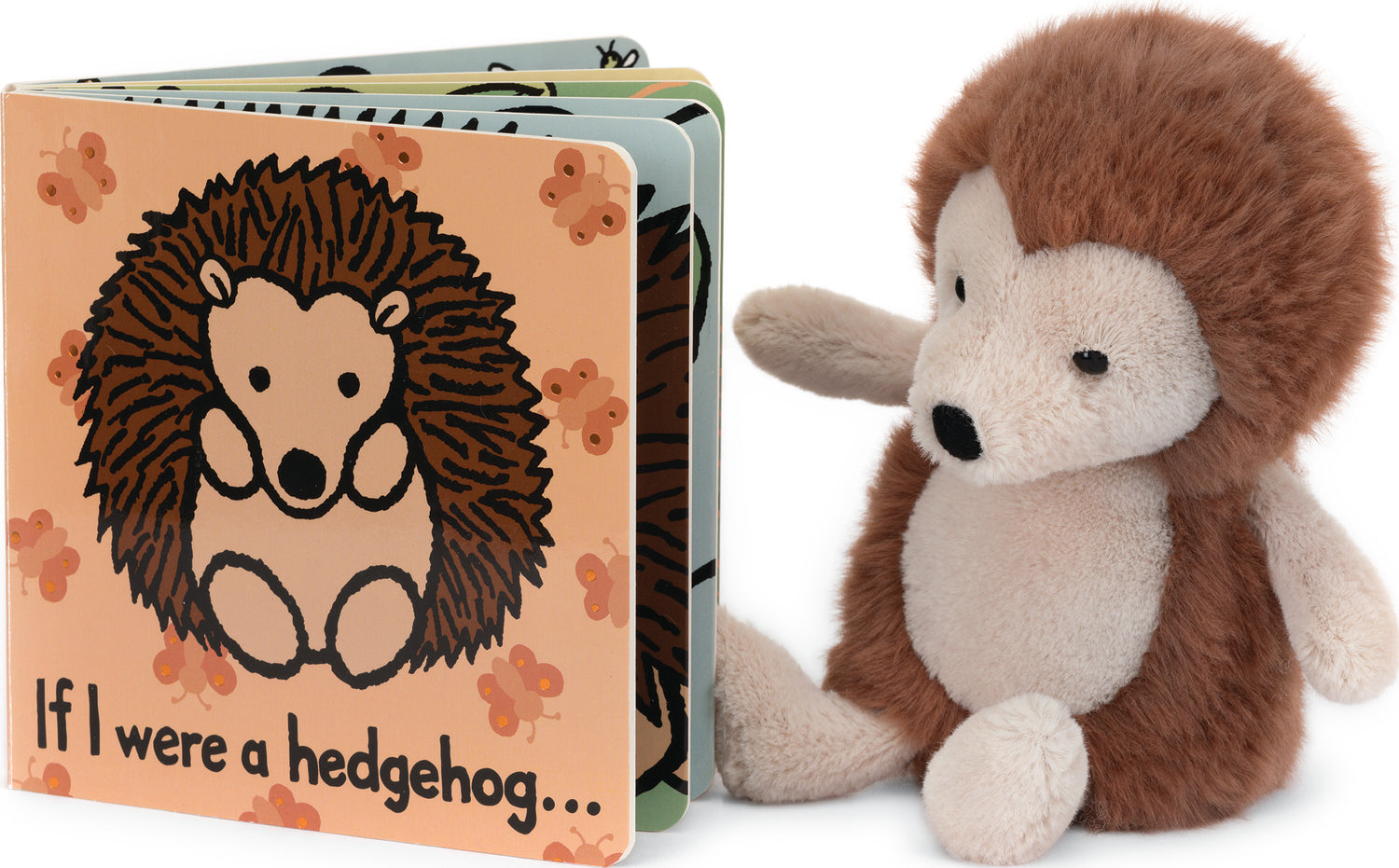 If I Were A Hedgehog Book